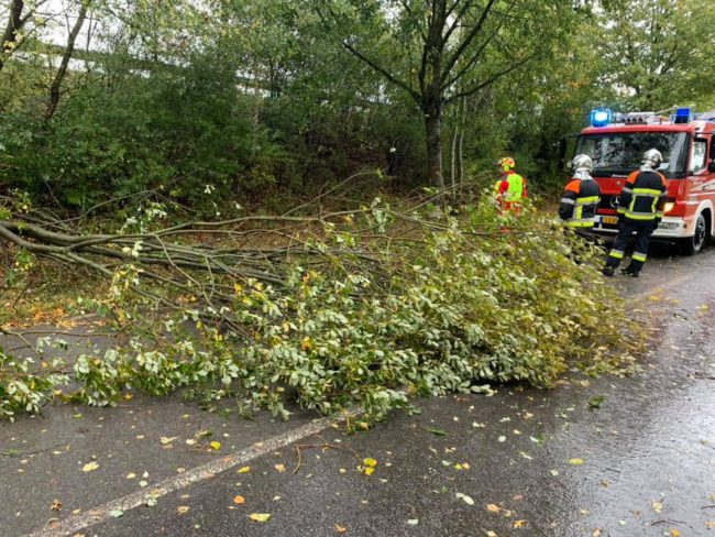 42428984 1879022312218455 2656384156715450368 N